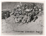 cambrian strikers